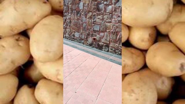 Кикосский монастырь✝️ и гора Трони✝️ в горах Тродас на острове Кипр. #кипр #бульба смотреть онлайн