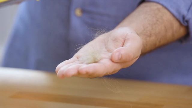 FURminator DeShedding Tools For Cats | Chewy