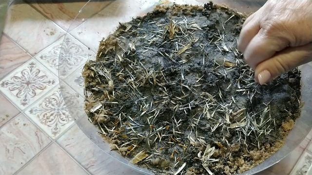 Сею бархатцы смотреть онлайн