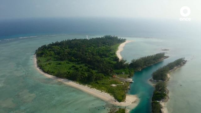 México biocultural - Área de protección y Parque Nacional Sistema Arrecifal Veracruzano (05/02/2024 смотреть онлайн