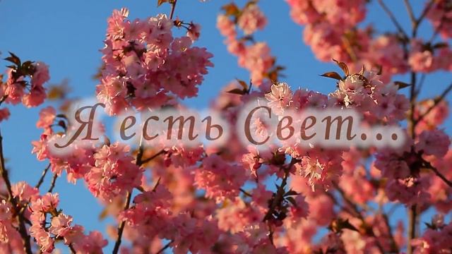 Медитация для соединения с Высшим Я смотреть онлайн