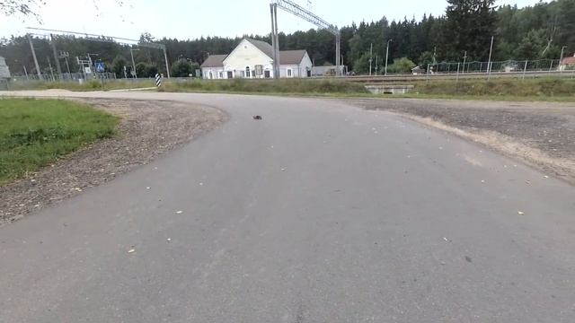 Машинки на пульте управления Cars RC Обзор Быстрых машинок смотреть онлайн