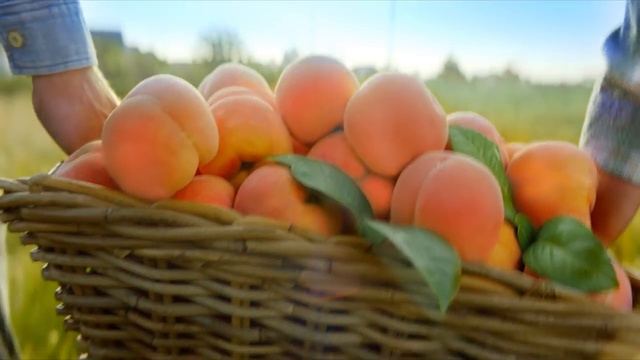 Обзор «ФрутоНяня коктейль молочный малиновый с 12 месяцев, 0,2 л» смотреть онлайн