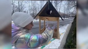 Покормите птиц зимой