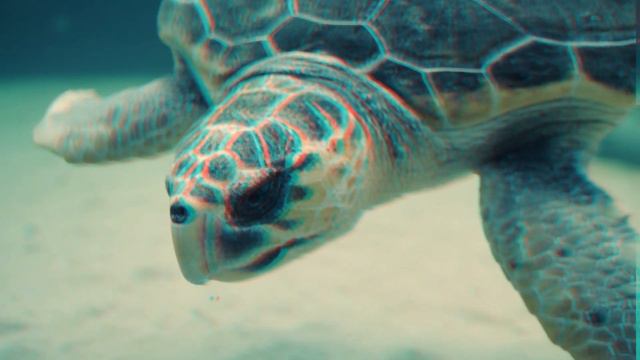 Underwater 3D Anaglyph (RED-CYAN) [4K] смотреть онлайн