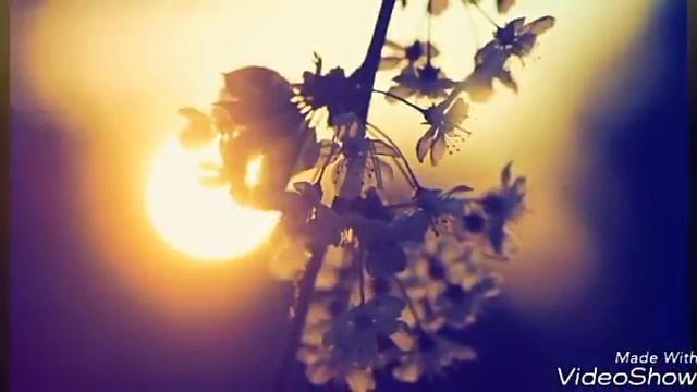 Картинки на тему : Весна смотреть онлайн