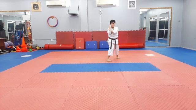 Nipaipo Kata By Hamza Dalati - 3# Katana InterContinental Karate League e-Tournament - Final смотреть онлайн