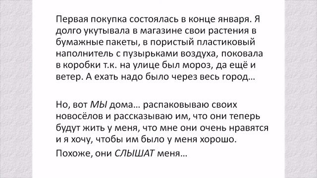 ОрхоРай - сказочный мир увлечения смотреть онлайн