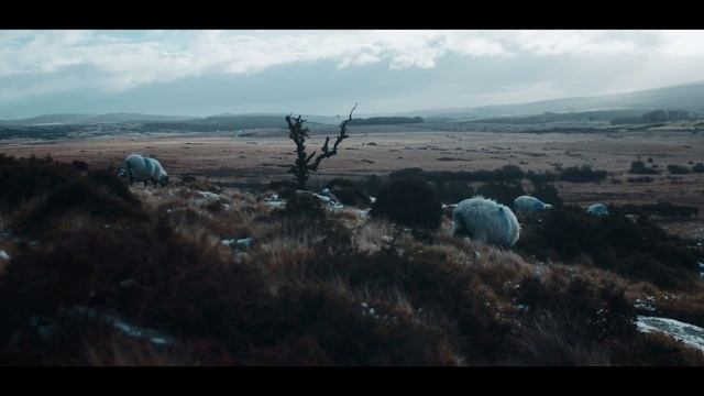 BMPCC 4K | My First Shoot (Cinematic Test Footage)