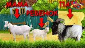 ЗВУКИ ЖИВОТНЫХ для самых маленьких / Обучающее видео для детей – как говорят животные