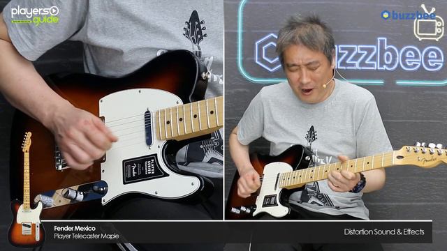 [Players Guide 271회] Fender Mexico LE Player Telecaster Pure Vintage 52 VS Player Telecaster Maple смотреть онлайн