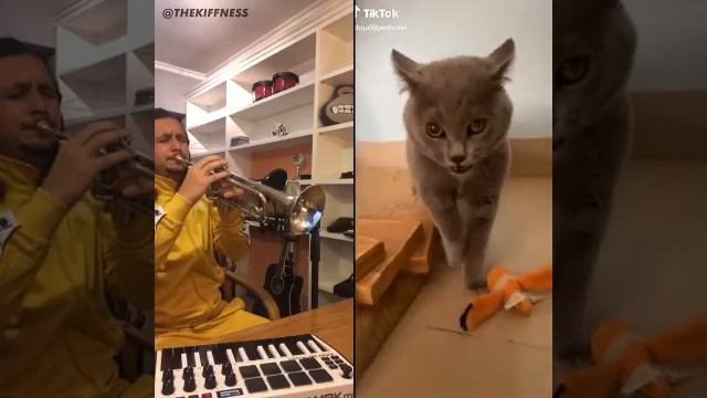 создание музыки. смотреть онлайн