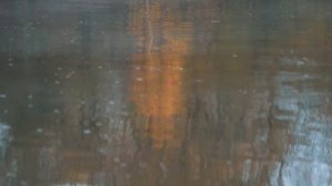 Болонская ловля. Подготовка к ловле болонской удочкой.