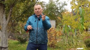 САМЫЙ НАДЕЖНЫЙ способ подвязки саженцев. Они УКОРЕНЯТСЯ на 100%