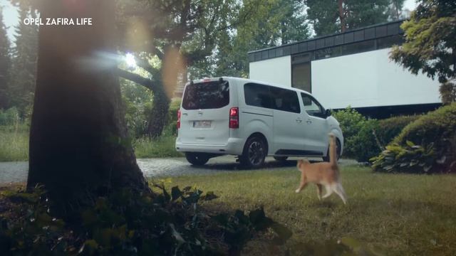 Noul Opel Zafira Life Cat смотреть онлайн