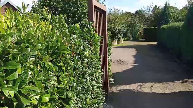 Как выглядит дача в Германии? Что такое пивные сады?