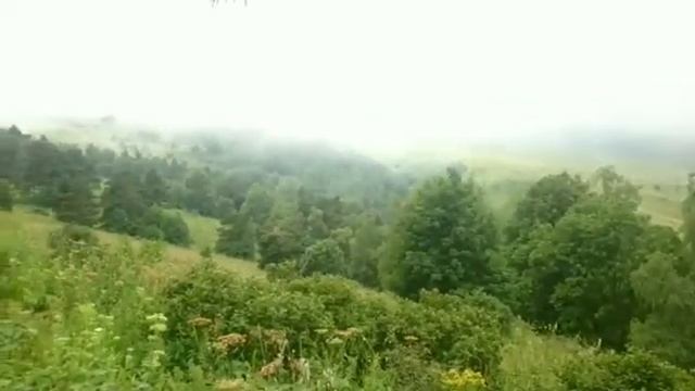 ?Музыка Живой Природы - для ВДОХНОВЕНИЯ ? смотреть онлайн