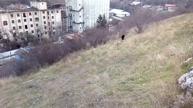 Цирцея 4.01'23' Любимые занятия . Куликово поле смотреть онлайн