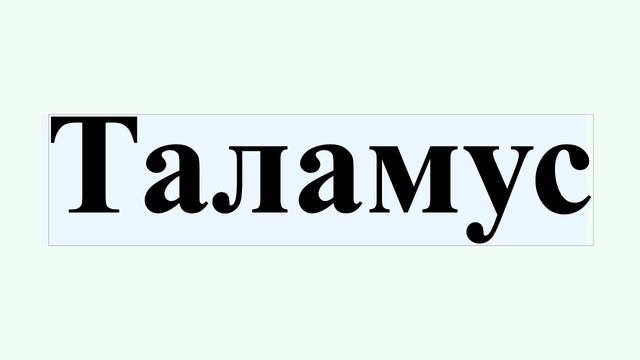 Таламус смотреть онлайн