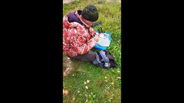 На рыбалку с Иванычем. Fishing with Ivanych. Ишь ты, раз клевалась... смотреть онлайн