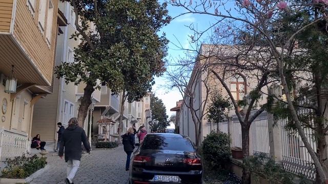 Цветущий Стамбул: Магнолии около храма Святой Софии смотреть онлайн