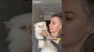 наши случаи с мамой|кот Лёша❤️