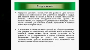 Каллизия Золотой ус (от ста болезней)