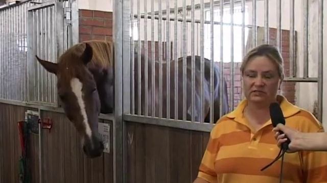 Юлия Шеффер. Как купить и содержать КОНЯ ? смотреть онлайн