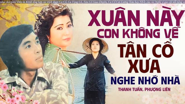 Xuân Này Con Không Về - Tân Cổ Xuân Xưa Nghe Nhớ Nhà | Tân Cổ Xuân Thanh Tuấn, Phượng Liên смотреть онлайн