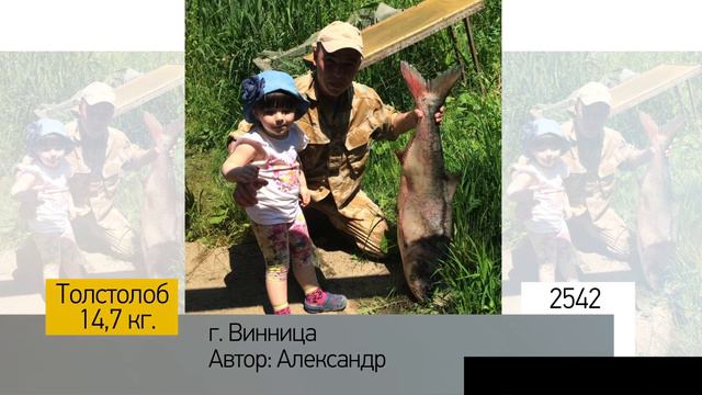 Фотоальбом - Рыбалка №508 смотреть онлайн