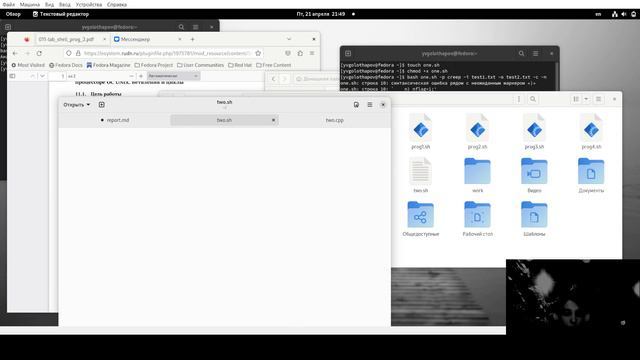 Выполнение лабораторной работы 11 смотреть онлайн