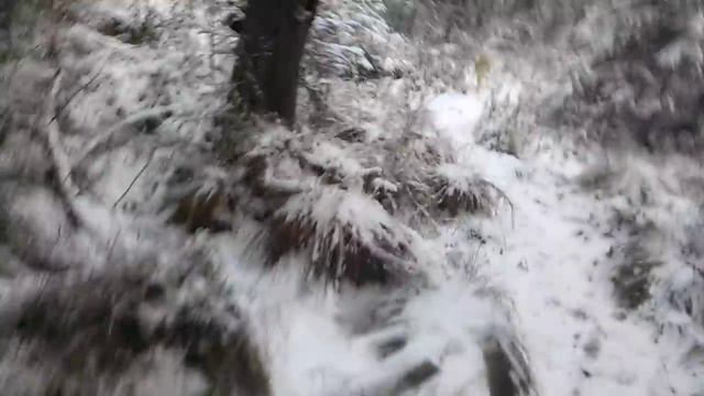 Очередная проверка капканов! Двойной фарт!!! смотреть онлайн