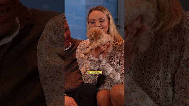 Вся информация по содержанию, кормлению и воспитанию собак мелких пород.