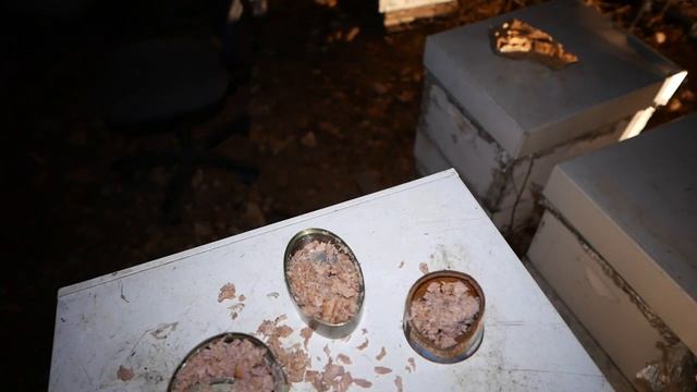 Пчеловодство Как ЗА 1 ДЕНЬ Избавиться от Шершней и Ос на Пасеке смотреть онлайн