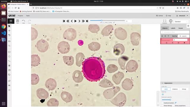 Annotation Using CVAT
