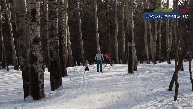 Лыжня России 2015 г. Прокопьевск, СРЦ "Солнечный" смотреть онлайн