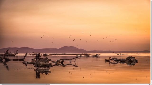 Animated image slider only HTML & CSS | GridDev смотреть онлайн