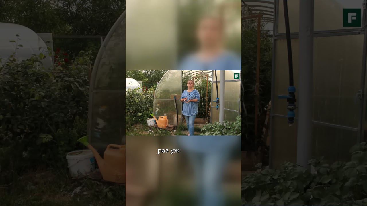 Необычное появление теплицы смотреть онлайн