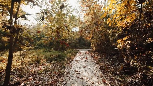 Николай Джинчарадзе. Ну, здравствуй осень... смотреть онлайн