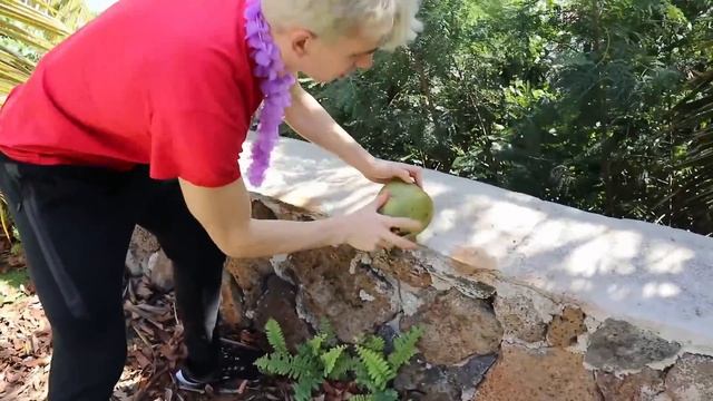 Game Master Mystery Detective Briefcase FOUND in Backyard Pool! (Rebecca Zamolo Reveals New Clues) смотреть онлайн