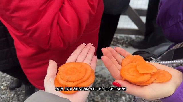ЧТО ДЕЛАТЬ НА РОЗЕ ХУТОР В СОЧИ? КУДА СХОДИТЬ! смотреть онлайн