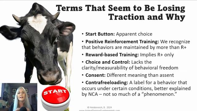 Level Up Your Animal Training Lingo! смотреть онлайн