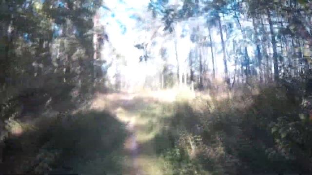 Мото wov1 - Злачные места Томилинского лесопарка смотреть онлайн