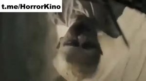 Сиджин 2  страшные моменты с мемы