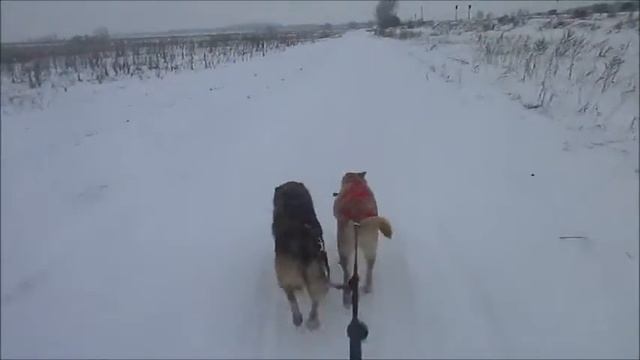 Тренировка. Норби, Сплит 4 12 19 смотреть онлайн