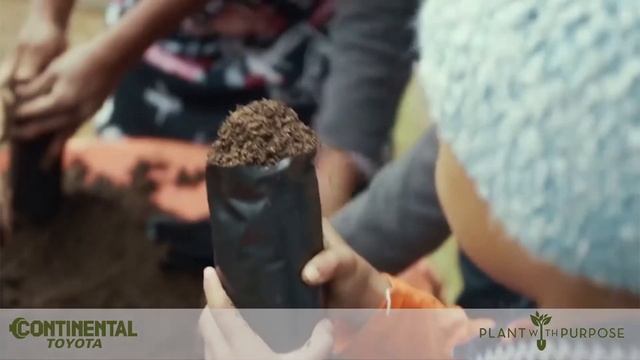 Continental Toyota will plant a tree for every vehicle and tire sale in the month of May! смотреть онлайн