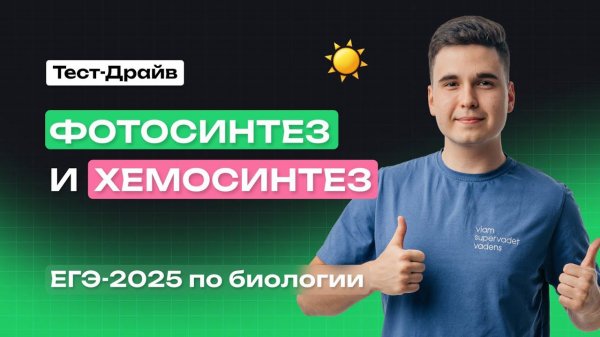 ВСЕ про ФОТОСИНТЕЗ И ХЕМОСИНТЕЗ | Тест-Драйв | NeoFamily