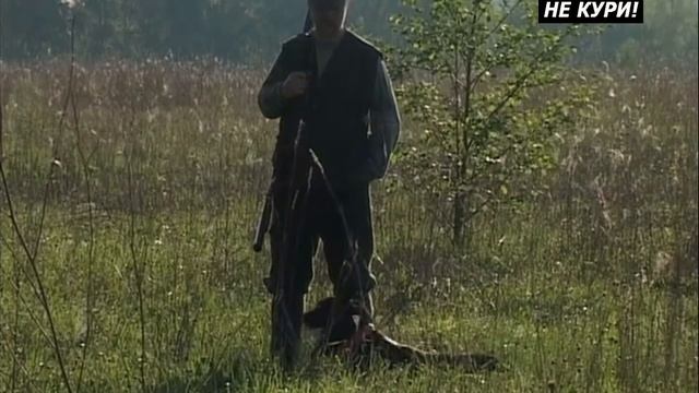 Натаска легавой в поле - 2021г смотреть онлайн