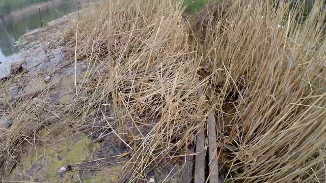 Дал забросить спиннинг. Грустный прикол на рыбалке...ЦЕНИТЕЛЬ смотреть онлайн